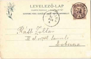 1901 Tátra, Vysoké Tatry; Tájrészlet a Ferenc József csúcsról, Felkai völgy, Hosszútó, Lengyelnyereg...