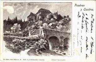 1903 Opoczno, Zámek Opocensky / castle, art postcard (surface damage)