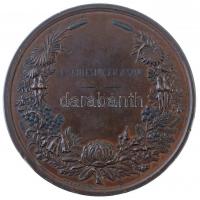 Ausztrália 1879. "Sydney Nemzetközi Kiállítás" Br emlékérem. Szign.: J.S.&A.B.WYON. (2...