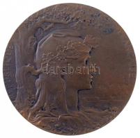 Franciaország 1900. "Francia Köztársaság / Párizsi Világkiállítás 1900" Br emlékérem, adom...