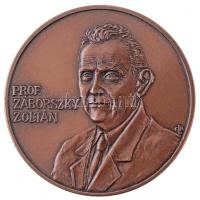 E. Lakatos Aranka (1952-) 1992. Prof. Záborszky Zoltán / 70 Br emlékérem (42,5mm) T:2