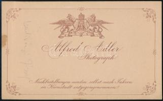 cca 1880 Szentiványi József (1817-1905) Liptó megyei nagybirtokos, a liptói nábob, a Csorba-tó megte...