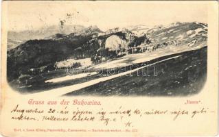 1900 Rarau, Rarcu (Bukowina, Bukovina); (EK)