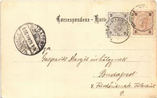 1900 Rarau, Rarcu (Bukowina, Bukovina); (EK)