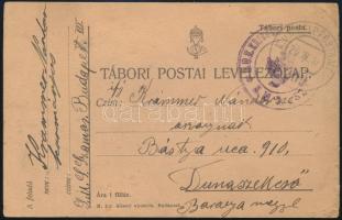 1917 Tábori posta levelezőlap / Field postcard "S.M.S. SZ(AMOS)"
