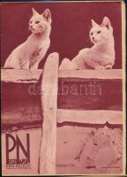 1931-1937 4 db Pesti Napló képes melléklete