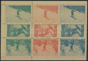 1930 Téli sport levélzáró kisív / label minisheet of 9