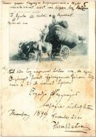 1899 A Bullock Cart. Indian folklore (8,5 cm x 12 cm) (ázott sarkak / wet corners)