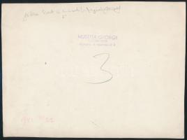 1942 Erdélyi képviselőcsoport a Parlamentben, 2 db, a fotókon László Dezső (1904-1973) református le...