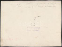 1942 Erdélyi képviselőcsoport a Parlamentben, 2 db, a fotókon László Dezső (1904-1973) református le...