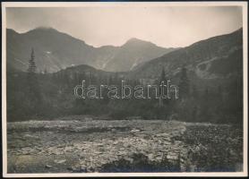 cca 1910 Liptói-Árvai hegyek a Magas-Tátrában a Rohács-völgyből, Erdélyi Mór felvétele, hátulján feliratozva, 11,5×16 cm/ Mountain of Western Tatras from Roháčska valley, photograph taken by Mór Erdélyi, with notes on its back, 11,5×16 cm