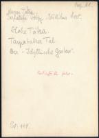 cca 1910 Idillikus kert, a Magas Tátra sziklaormai a Tarpataki völgyben, Erdélyi Mór felvétele, hátu...