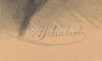 August Schubert (1844-?): Kossuth Lajos. Litográfia, papír, jelzett a litográfián nyomtatva. Freytag...