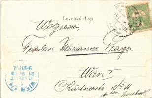 1902 Esztergom, Dunai uszoda. Wallfisch S