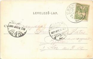 1907 Budapest XXI. Csepel, kilátás dunai részlettel. Havassy Béla kiadása, Art Nouveau (EK)