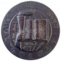 Iván István (1905-1968) 1949. Nemzetközi Diák Unió, I. díj többnyelvű, ezüstözött Br díjérem (61mm) T:2,2-