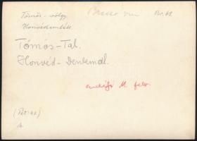 cca 1910 A Tömös-patak völgye, a háttérben a honvédemlékművel, Erdélyi Mór felvétele, hátulján felir...