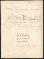 cca 1910 Vistea vízesés a Fogarasi hegyekben, Erdélyi Mór felvétele, hátulján feliratozva, 16x11,5 c...