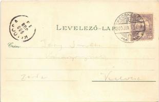 1900 Kecskemét, városház, katolikus plébánia templom, Szentháromság szobor, Főpiac tér, Fekete Mihál...