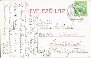 1912 Soborsin, Savarsin; Fasor, Hunyadi gróf kastélya, Fő utca, tűzoltó szertár. W.L. Bp. 26 9z7 d /...