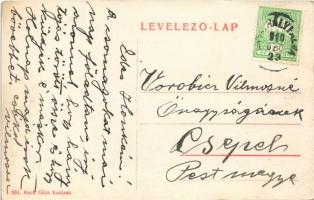 1910 Érmihályfalva, Valea lui Mihai; Lőpor és lőszerek eladása, Koch Géza üzlete és saját kiadása / ...