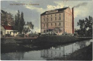 Nagymegyer, Velky Meder, Calovo; Anna Henger Műmalom, gőzmalom. Haladás nyomda kiadása / mill