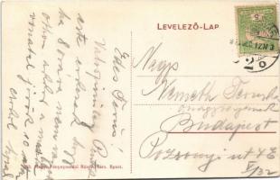 Temesvár, Timisoara; Józsefváros, Gombás Gyula Korona és Royal nagyszálloda tulajdonosa Korona száll...