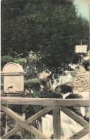 Tátra, Vysoké Tatry; Lajos forrás, Liptó és Szepes határa a Clotild úton. Ivkov kiadása 476. / border between Liptov and Spis county, spring