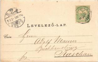 1902 Szepesszombat, Spisská Sobota; nyaraló / villa. photo