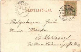1904 Pöstyén, Piestany, Pistyan; Vág és komp. Lampl Gyula kiadása / Váh river and ferry (EK)
