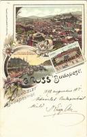 1898 (Vorläufer) Budapest, Császár fürdő, Ferenc József rakpart és Gellérthegy. Kunstanstalt Rosenblatt Art Nouveau, floral, litho (EK)