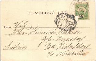 ~1899 (Vorläufer) Budapest XI. Gellérthegy / Blocksberg. litho  (EK)