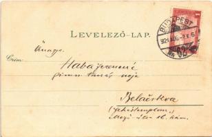 Budapest VII. Központi (Keleti) pályaudvar, lovaskocsi. Kuenstlerpostkarte No. 2874. von Ottmar Zieh...