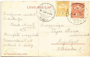 1907 Gombos, Bogojeva; Gőzkomp kikötés előtt és után Gombos és Erdőd között, gőzmozdony. Tippl Józse...