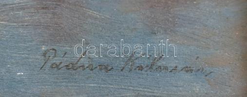 Pádua Kálmán (1885-1958): Folyómenti táj (Szentendre?). Olaj,fa, jelzett, fa keretben. 21,5×27 cm