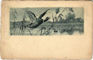 Ducks, art postcard (b)