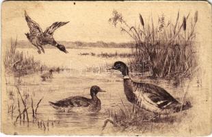 Ducks, art postcard (EM)