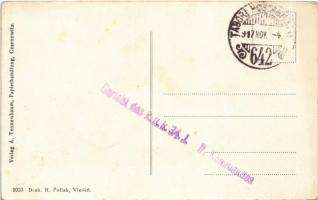 1917 Chernivtsi, Czernowitz, Cernauti, Csernyivci; Gesamtansicht mit Bahnhof / railway station