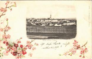 1899 (Vorläufer) Písek, Král. mesto Pisek. J. Hoffmann 4794. Floral, litho (EK)