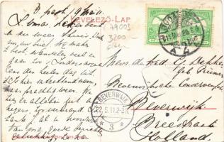 1911 Budapest XII. Farkas villa. Art Nouveau, floral