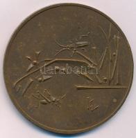 Kiss Nagy András (1930-1997) DN "Omnia Vincit Amor (A szerelem mindent legyőz)" Br emlékér...