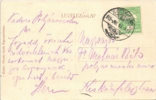 1913 Nagytapolcsány, Topolcany; általános látkép, út. Platzko Gyula kiadása / road