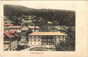 1907 Feketehegyfürdő, Feketehegy, Cernohorské kúpele (Merény, Vondrisel, Nálepkovo); nyaralók, szállók. Lomniczy V. kiadása / villas, hotels
