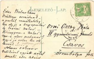 Savnik, Schavnyik, Spissky Stiavnik; Thököly várkastély / castle