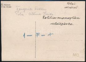 cca 1917 Tengerész Fokker légelhárító repülőgép Pola-Altura-Haide üldözés után / Navy airplane after...