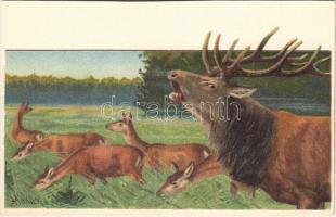 Vadászat: szarvas és őzek / Hunting art postcard, deer. Erika Nr. 458. litho s: Mailick