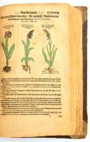 [Lonicer, Adam (Adamus Lonicerus) (1528-1586)]: Kreuterbuch, künstliche Conterfeytunge der Bäume, St...