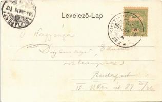 1904 Szenice, Szenicz, Senitz, Senica nad Myjavou; Piac tér, templom. Löffler J. kiadása / market sq...