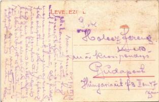 1917 Alvinc, Vintu de Jos; Báró Horváth -féle kastély / castle (Rb)