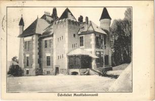 1913 Mezőlaborc, Medzilaborce; Lovag Skoda kastély télen. Schönfeld Sámuel kiadása / castle in winter